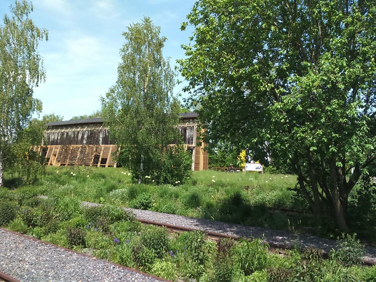 Oelsnitz  Apartment With Views Of The Ore Mountains מראה חיצוני תמונה